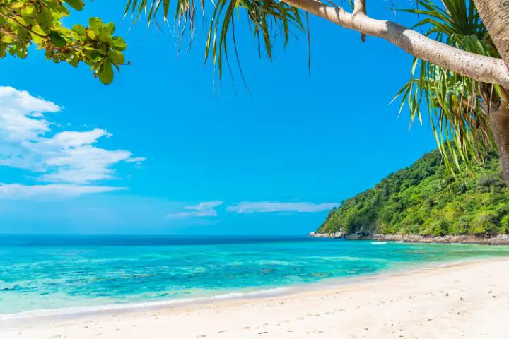 Beautiful tropical beach sea ocean with coconut and other tree a