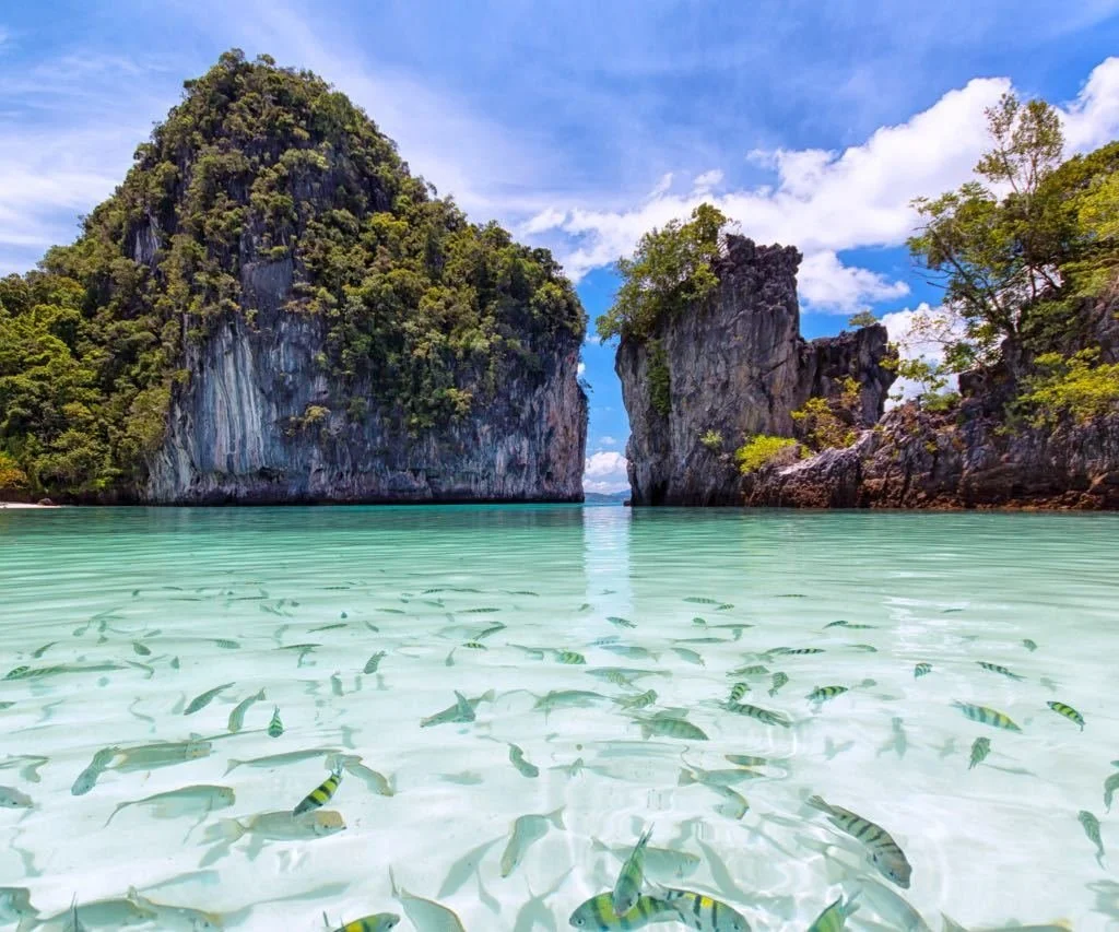 banner dcouverte des les koh hong