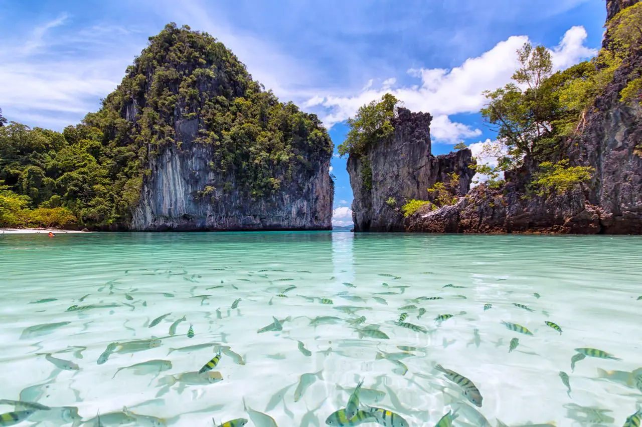 banner dcouverte des les koh hong