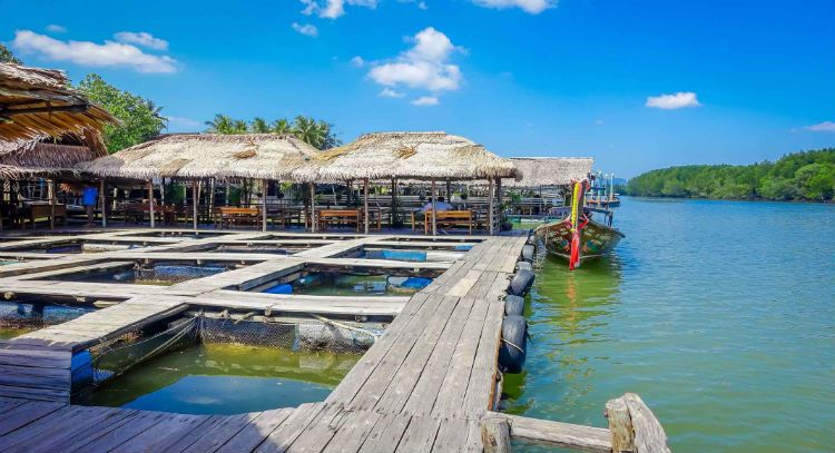 banner decouverte de lile koh klang et des mangroves prive anglophone