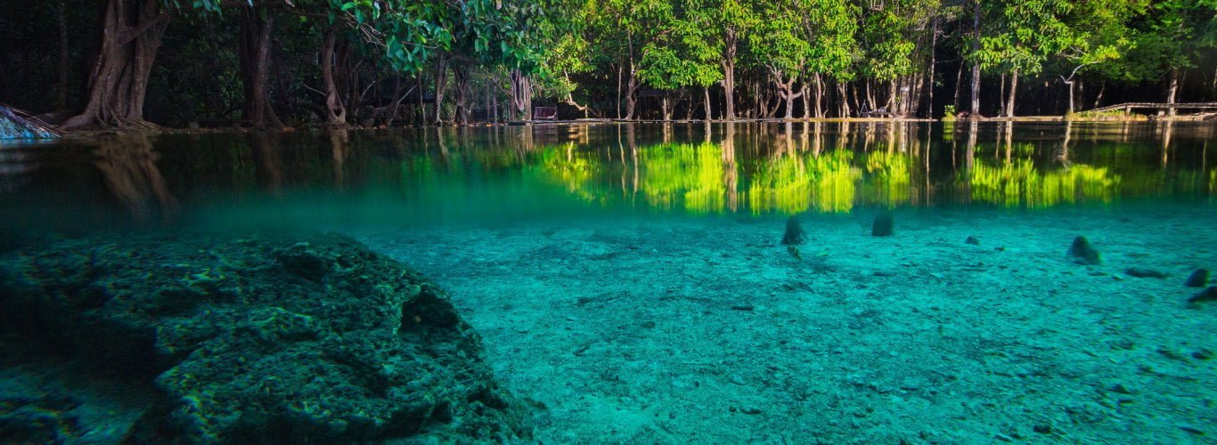 emerald pool krabi