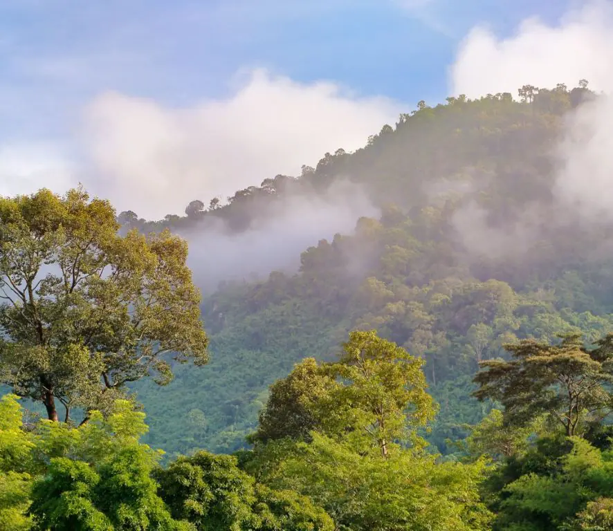 khao yai