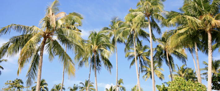 koh chang une ile thailandaise tranquille pour echapper a la foule touristique koh chang une ile thailandaise tranquille pour echapper a la foule touristique