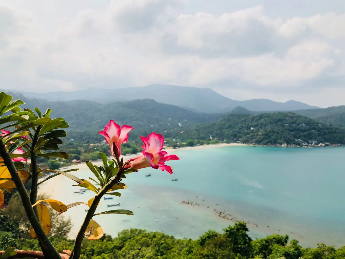 koh phangan