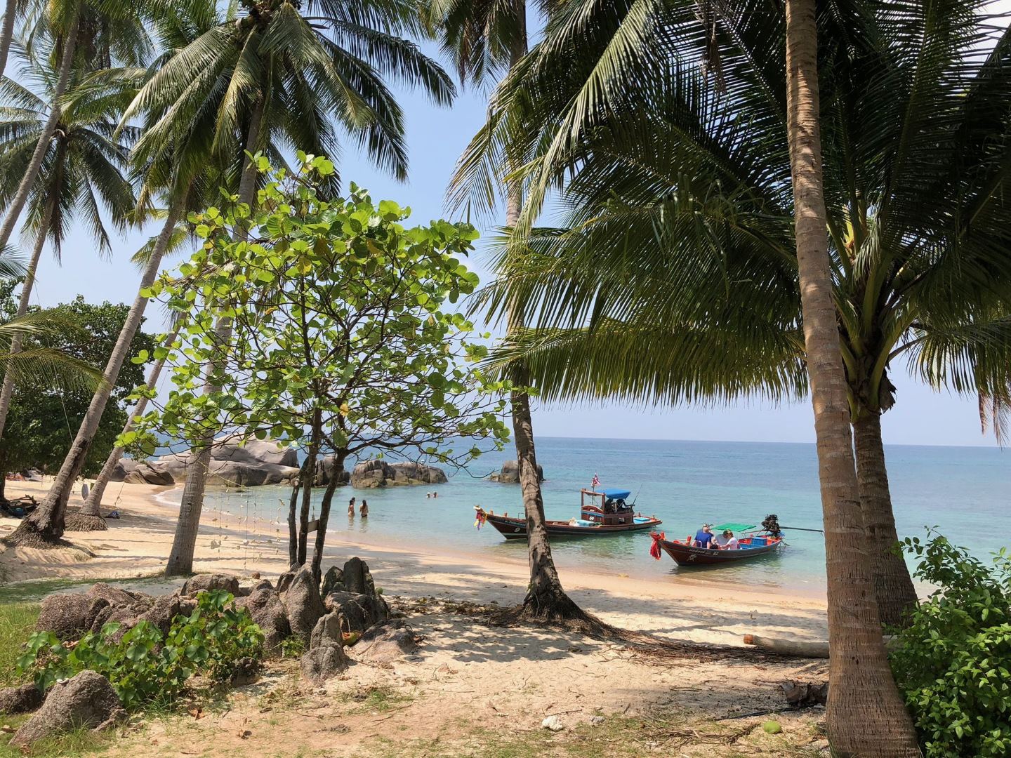 koh tao