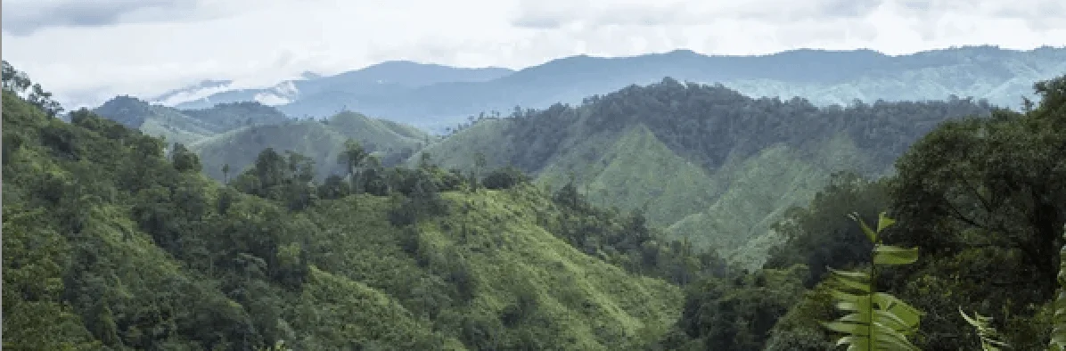 la thailande sauvage decouvrez ses paysages naturels