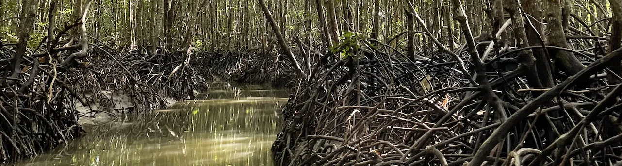 la thailande sauvage decouvrez ses paysages naturels