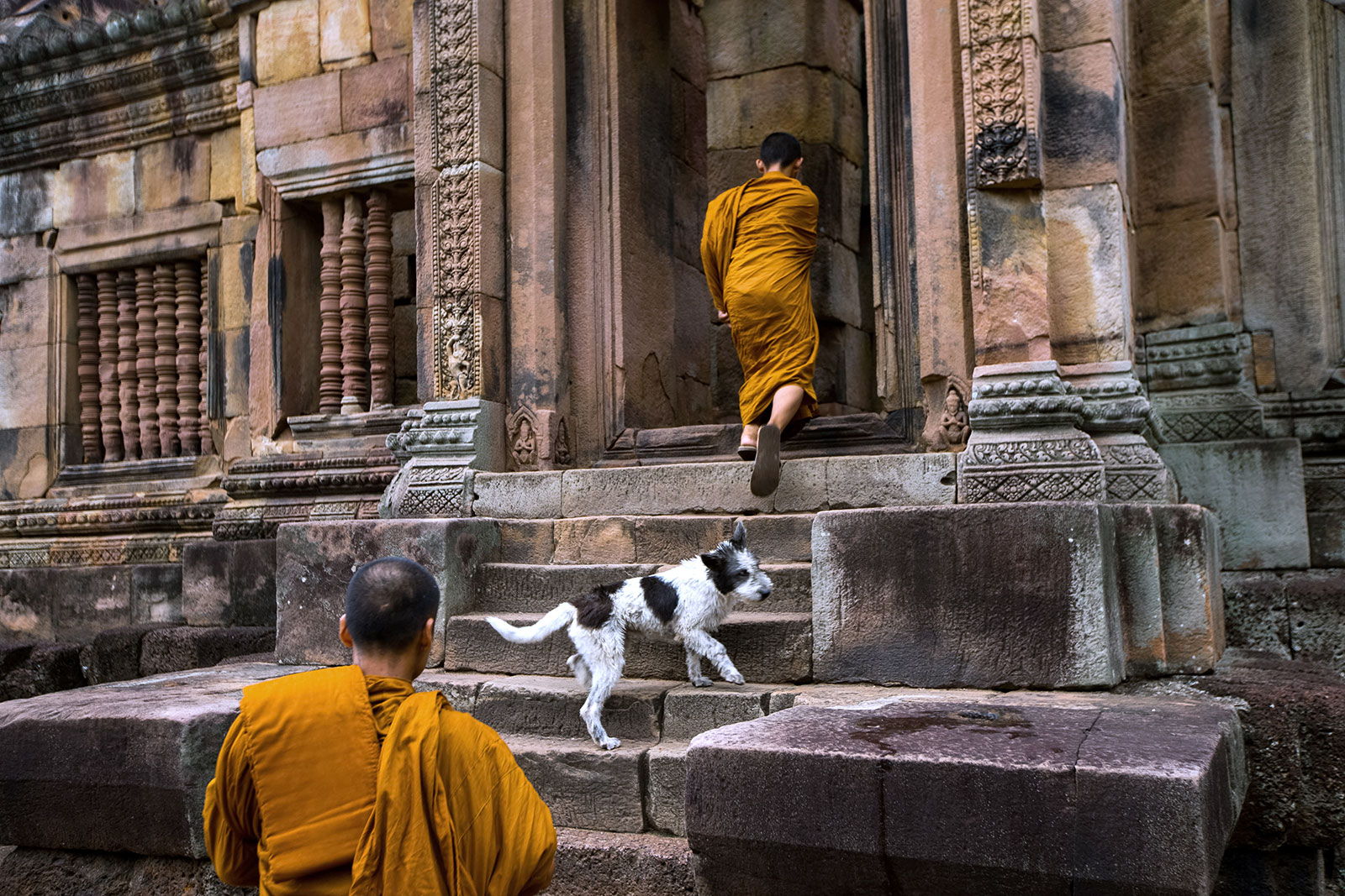 monk and dog ()