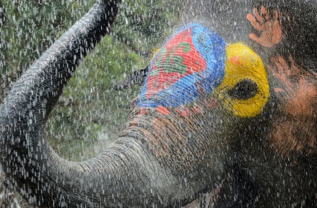 songkran la fte de leau