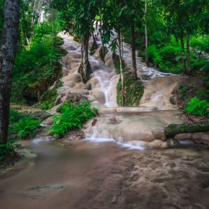 bua tong waterfall x