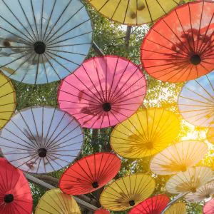 chiang mai shopping umbrella