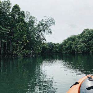 Kayak et cours de cuisine à Krabi