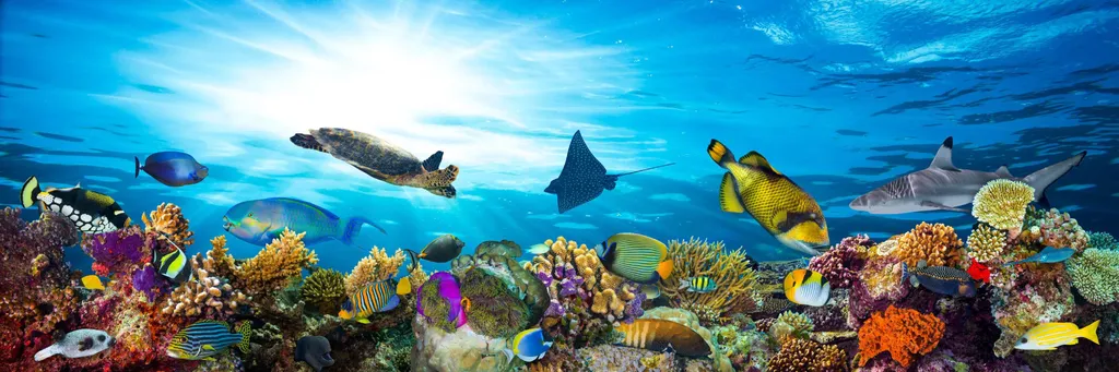 snorkeling thailande