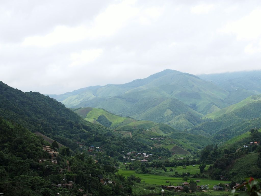 a pril mljoylYi unsplash