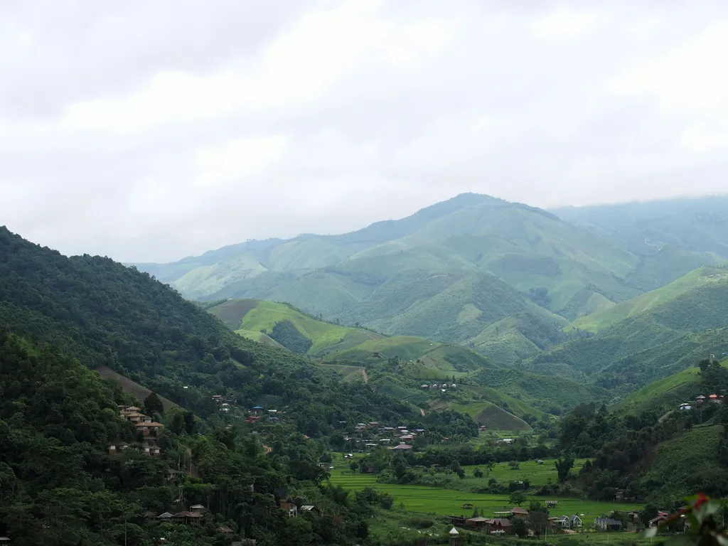 a pril mljoylYi unsplash