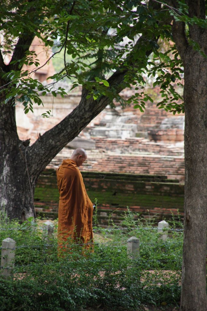 schuco monk